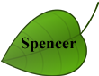 Spencer2 Leaf